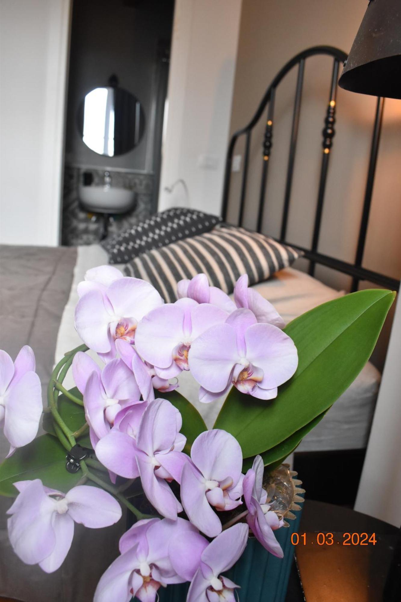 Trastevere St Ariabianca House Appartement *